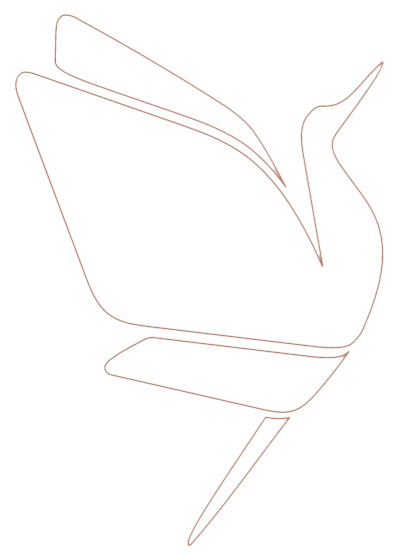 Oiseau logo